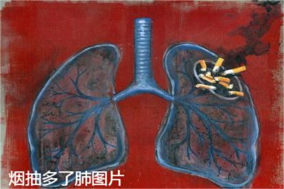 烟抽多了肺会怎么样图片