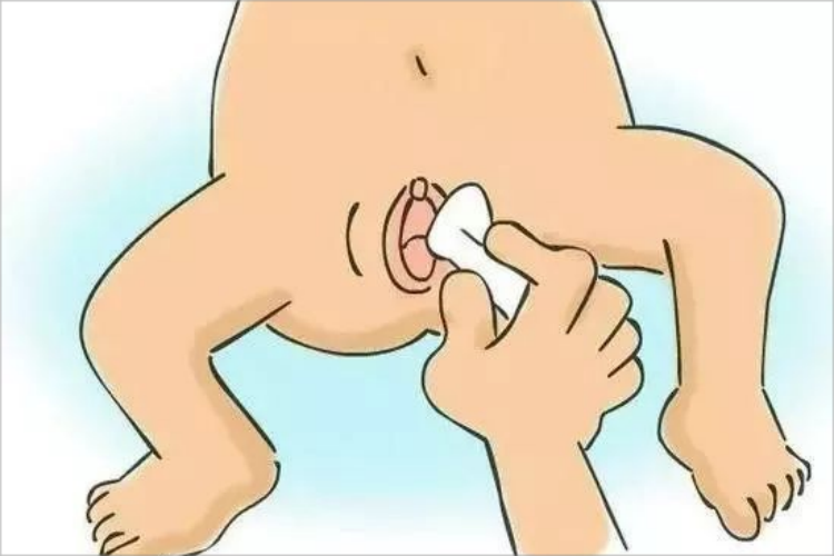 女宝生殖器图片